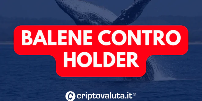 BALENE CONTRO HOLDER