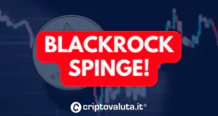 BLACKROCK SPINGE