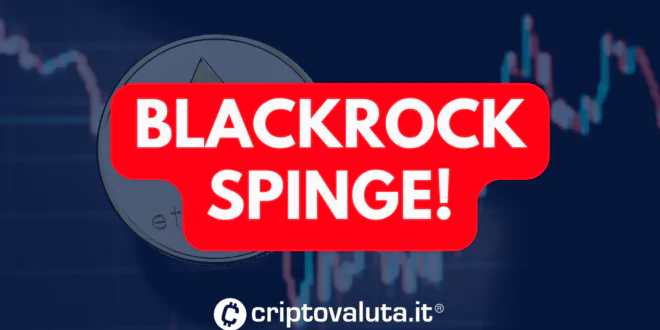 BLACKROCK SPINGE