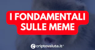 FONDAMENTALI MEME