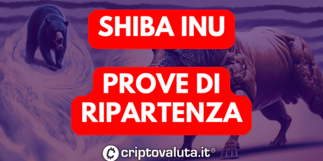 SHIBA INU - $SHIB