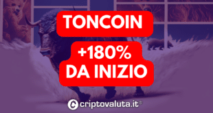 TONCOIN - $TON