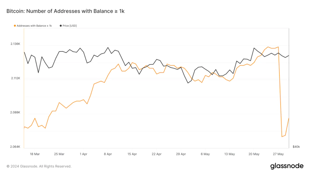 Numero wallet whales bitcoin