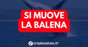 BALENA SI MUOVE