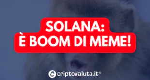 SOLANA MEME BOOM