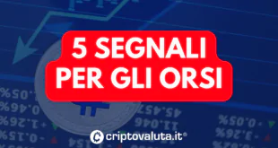 5 segnali orsi