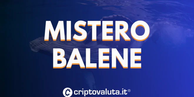 Mistero Balene