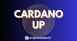 CARDANO