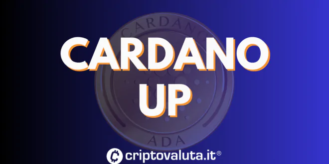 CARDANO