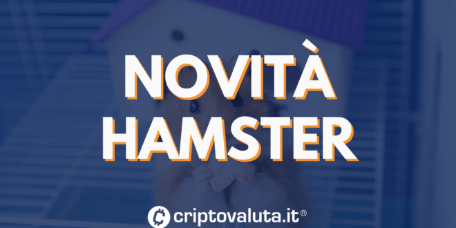 HAMSTER KOMBAT NOVITA