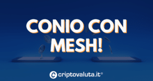 Mesh conio