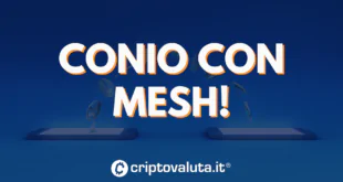 Mesh conio