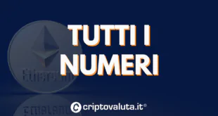 NUMERI UP