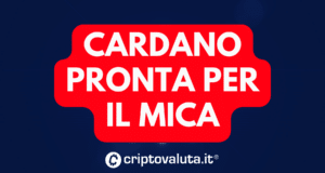 CARDANO MICA