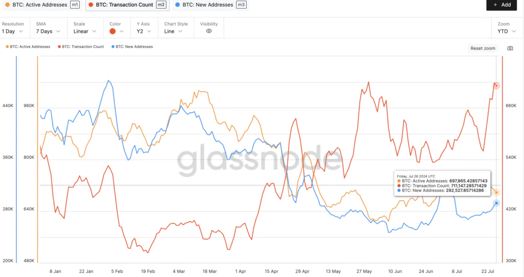 Andamento Active e New Addresses e Transaction Count - Fonte: Glassnode
