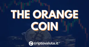 THE ORANGE COIN UP