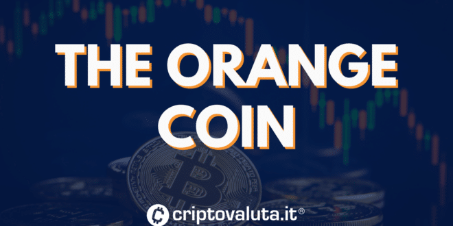 THE ORANGE COIN UP