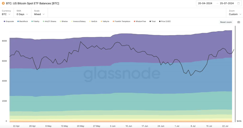 BTC: US Bitcoin Spot ETF Balances  - Fonte: Glassnode