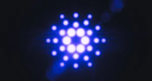 Cardano Nuovo