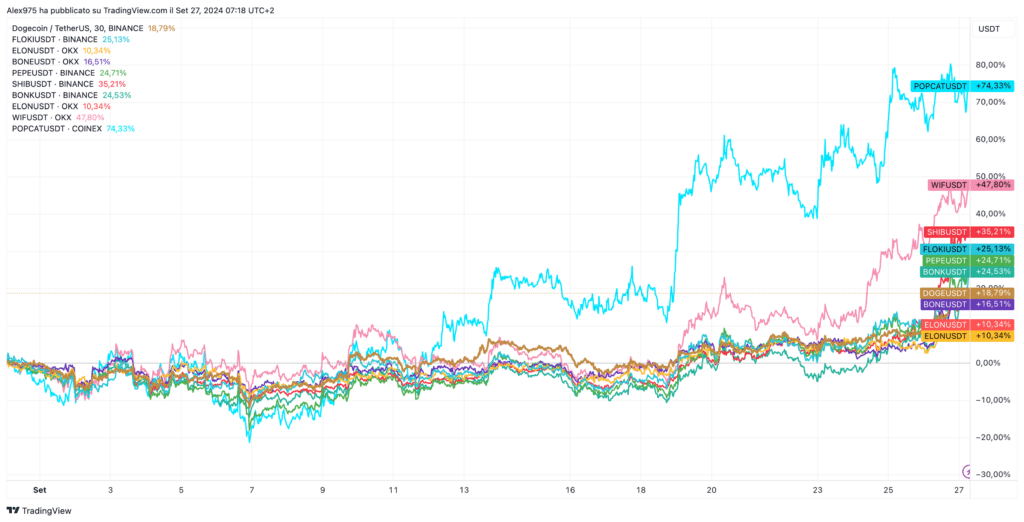 Andamento meme token Settembre 2024