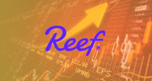 reef up