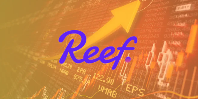 reef up