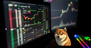 SHIBA INU - $SHIB