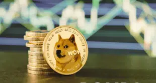 DOGECOIN - DOGE