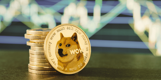 DOGECOIN - DOGE