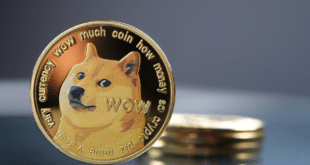 Dogecoin BOOM