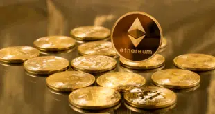 Ethereum donazione Buterin