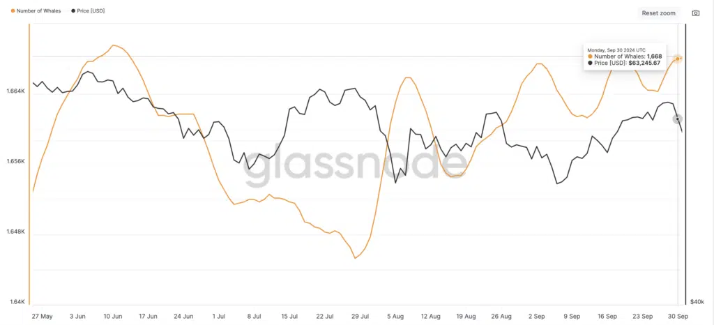 Bitcon Number of Whales