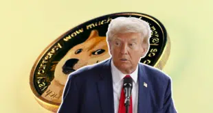 DOGE TRUMP