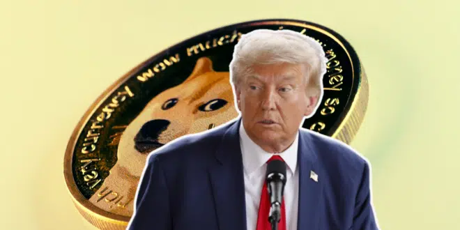 DOGE TRUMP