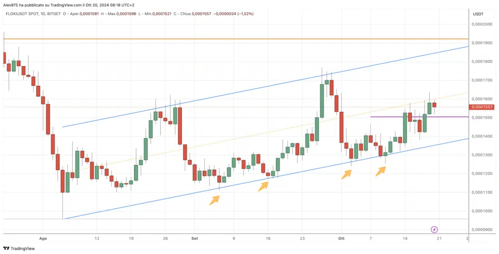 FLOKI (FLK) - 20 Ottobre 2024