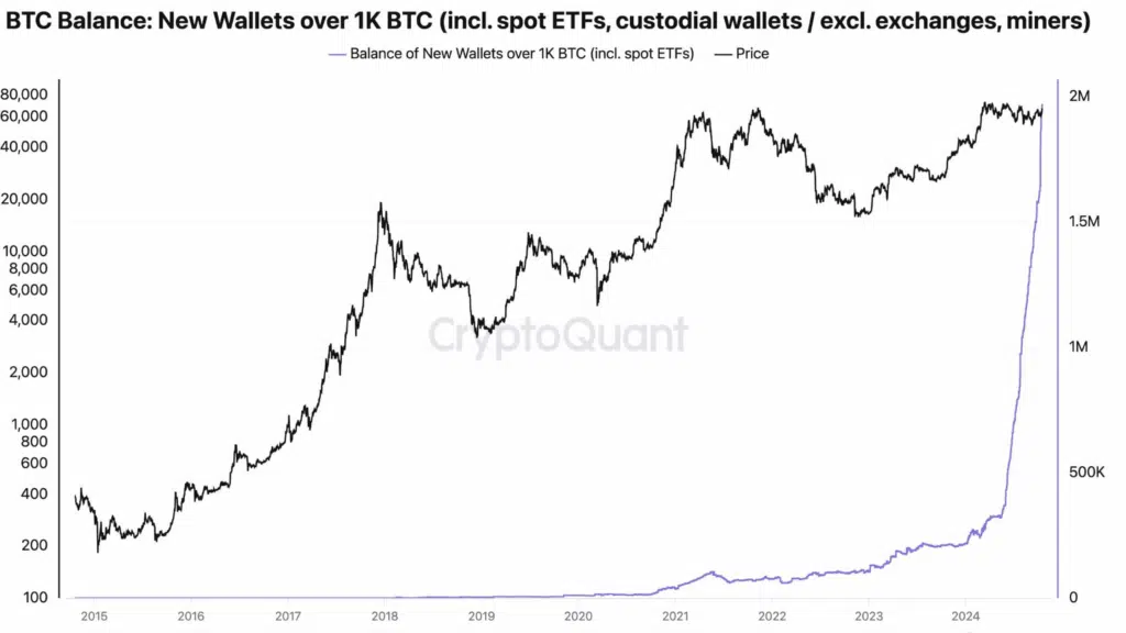 Bitcoin Balance: New Wallets over 1K BTC -  Fonte: CryptoQuant