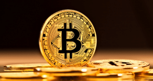 Bitcoin promo bitget gratis