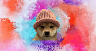 DOGWIFHAT - WIF