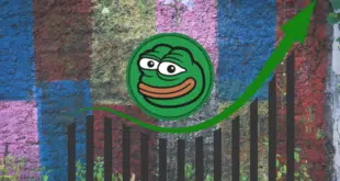 pepe coin - $PEPE