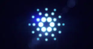 CARDANO COINDESK