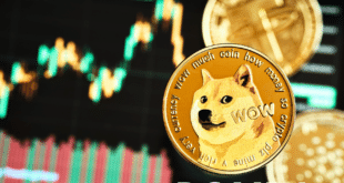 DOGECOIN - DOGE