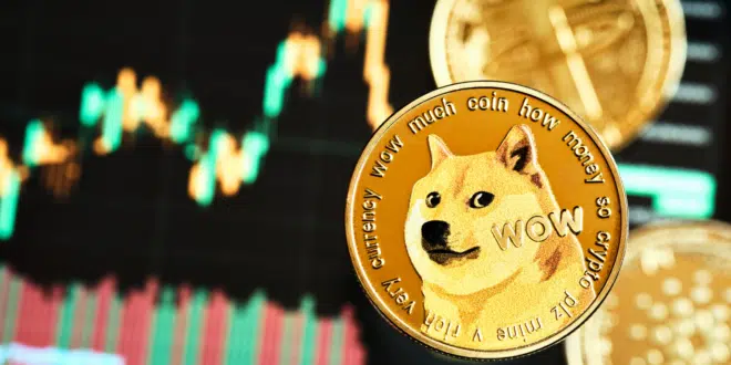 DOGECOIN - DOGE