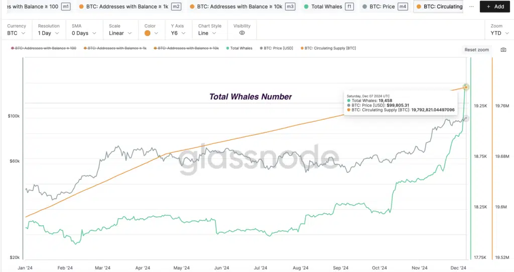 Total Whales Number