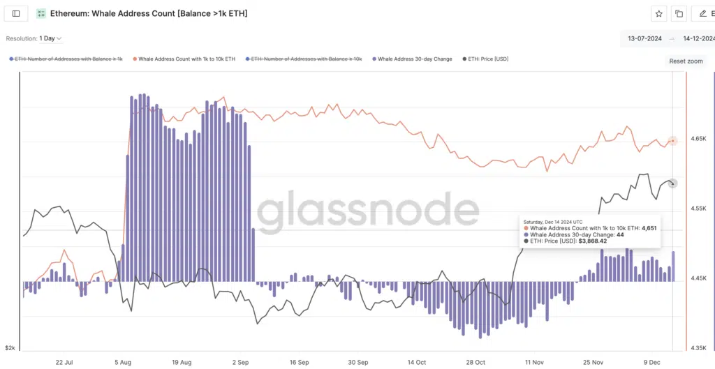 “Ethereum: Whale Address Count [Balance >1k ETH]”,