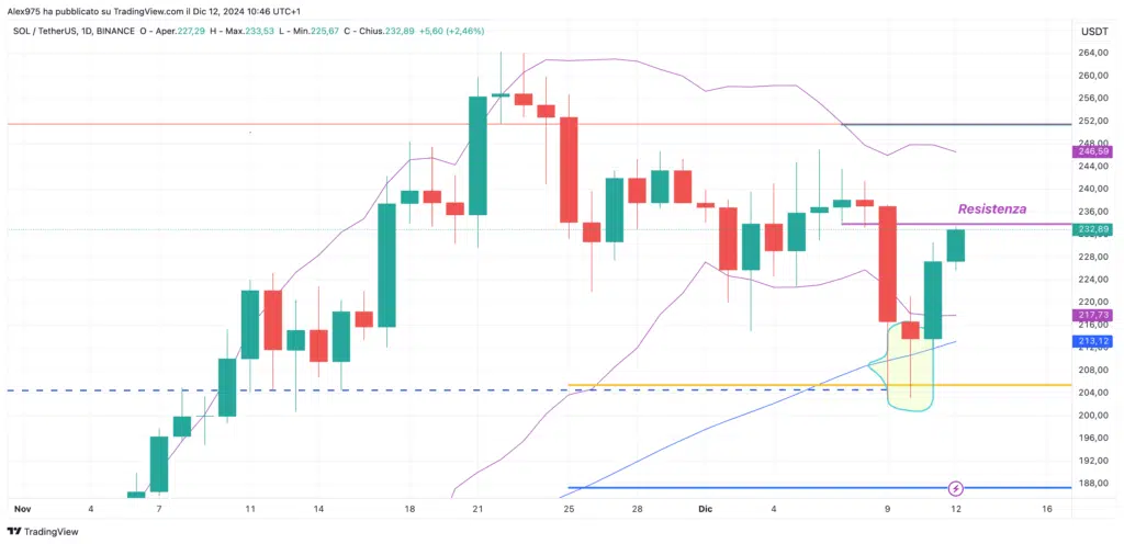 Solana (SOL) - Daily 12 Dicembre 2024