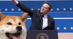 DOGE MUSK