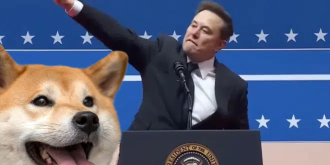 DOGE MUSK