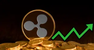 RIPPLE - XRP