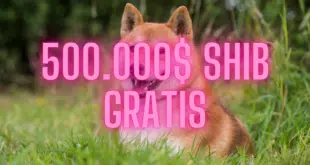 SHIBA GRATIS BITPANDA PROMO