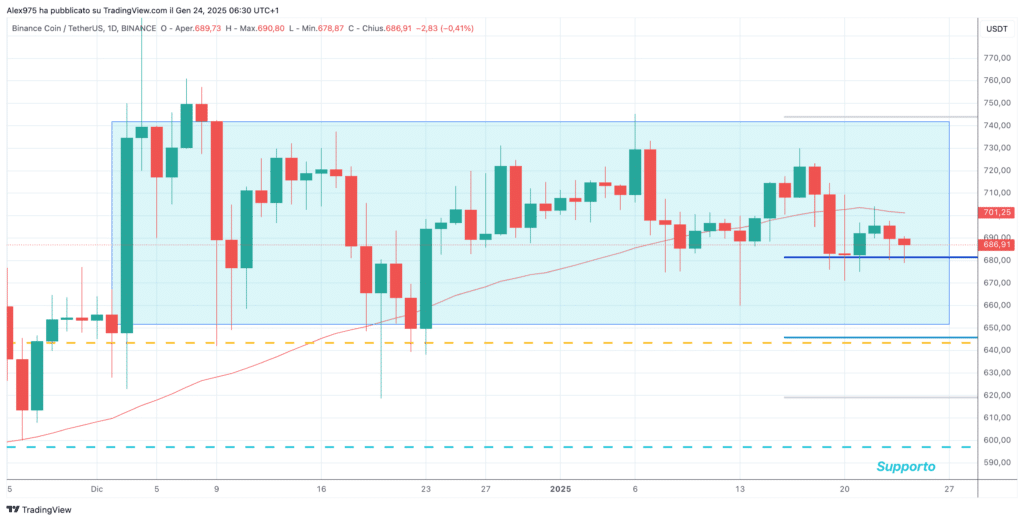 Binance Coin (BNB) - Daily 24 Gennaio 2025